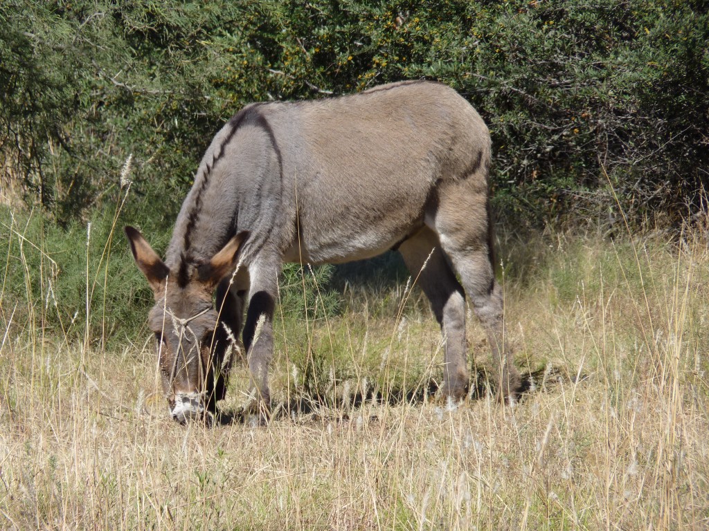 Foto: Balneario Río Los Sauces - Mina Clavero (Córdoba), Argentina