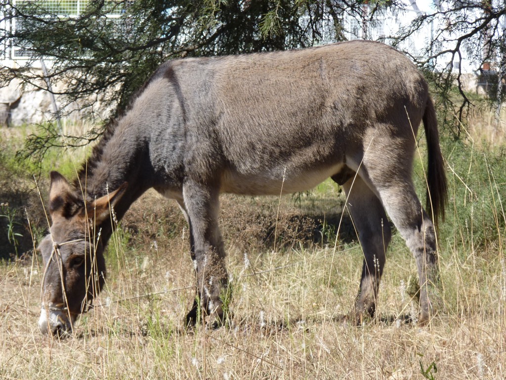 Foto: Balneario Río Los Sauces - Mina Clavero (Córdoba), Argentina