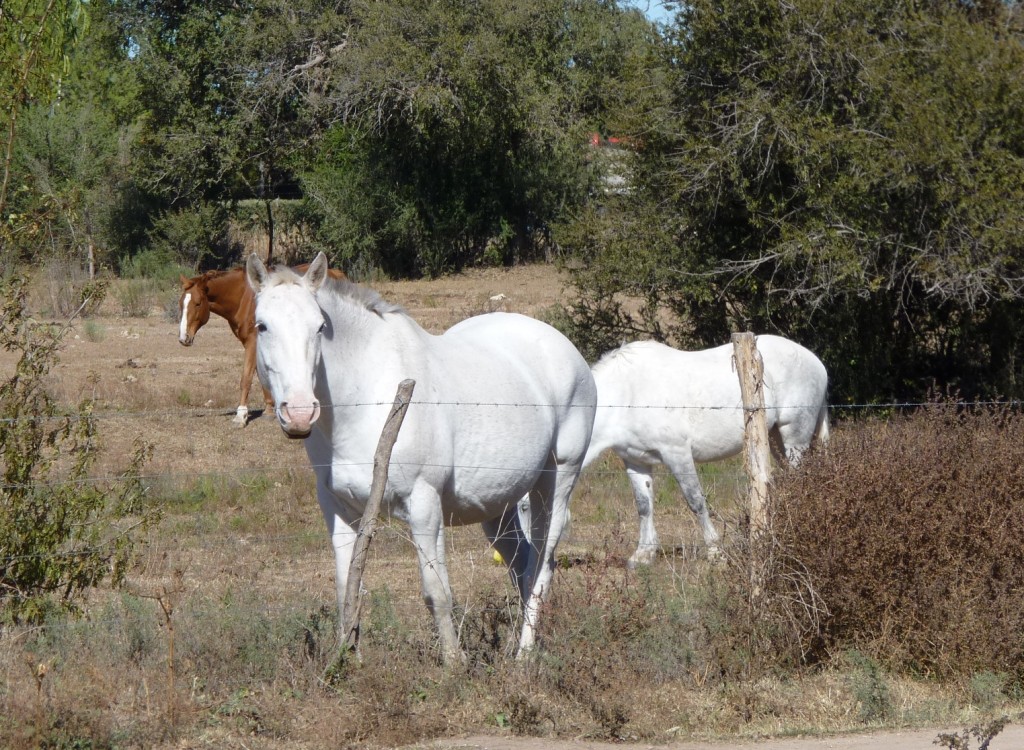 Foto: Balneario - Mina Clavero (Córdoba), Argentina