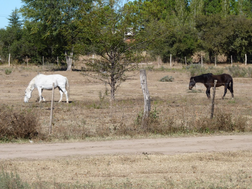 Foto: Balneario - Mina Clavero (Córdoba), Argentina