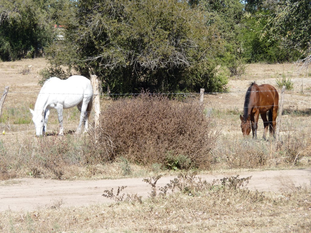 Foto: Balneario - Mina Clavero (Córdoba), Argentina
