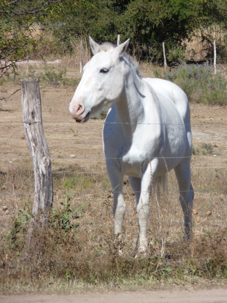 Foto: Balneario - Mina Clavero (Córdoba), Argentina