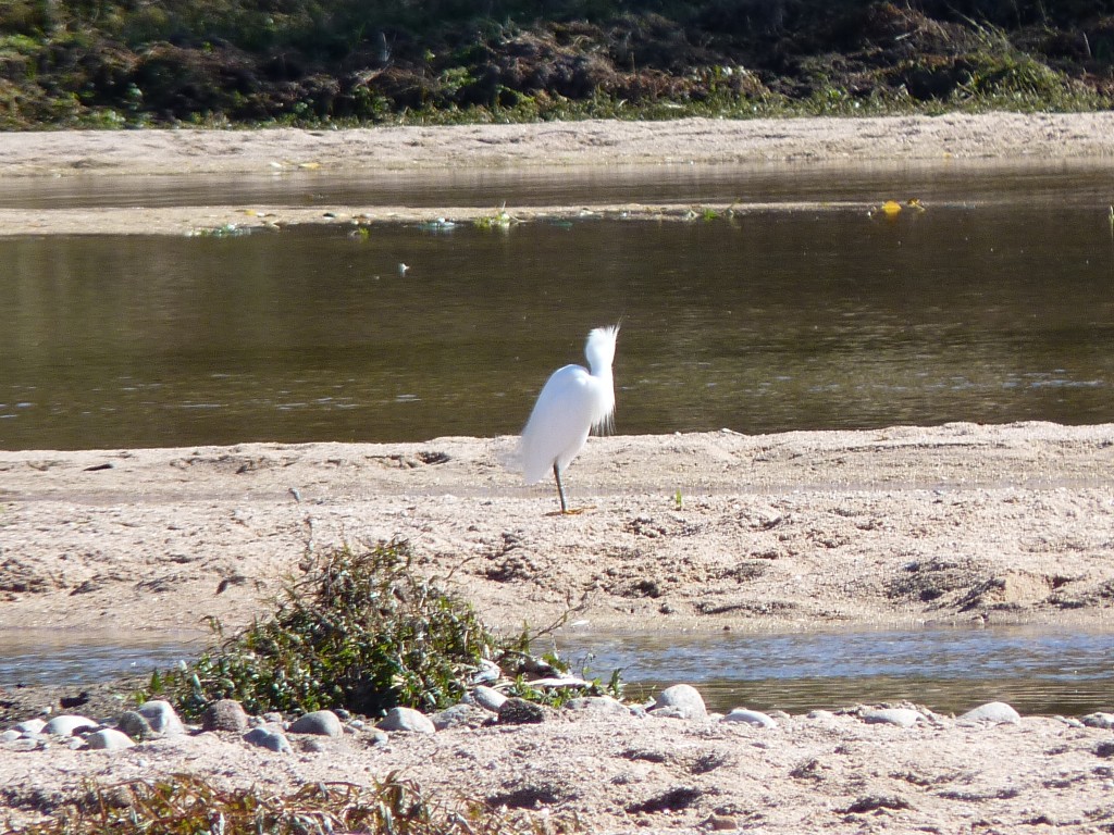 Foto: Balneario - Mina Clavero (Córdoba), Argentina