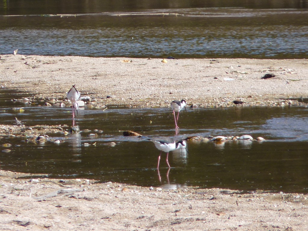 Foto: Balneario - Mina Clavero (Córdoba), Argentina