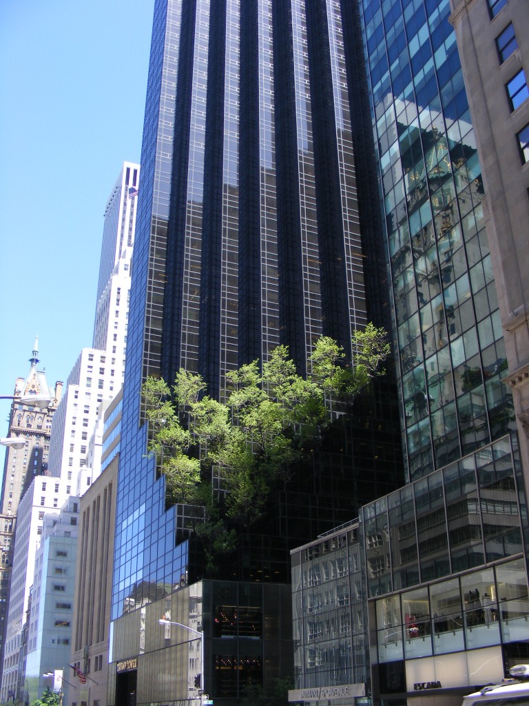 Foto de New York, Estados Unidos