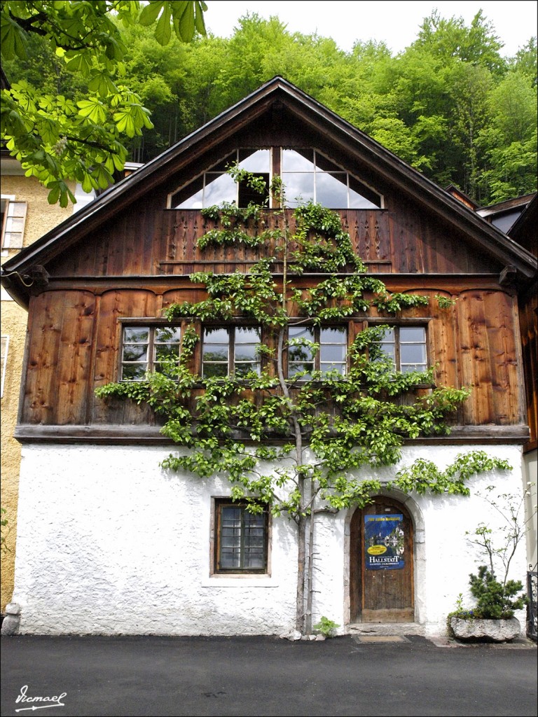 Foto: 110504-154 SAINT GILGEN - Saint Gilgen (Salzburg), Austria