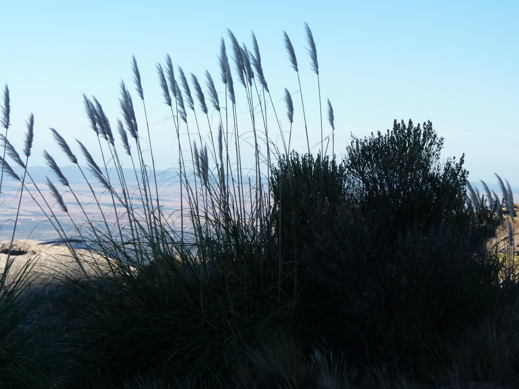 Foto: RP 34 - Camino de Altas Cumbres (Córdoba), Argentina