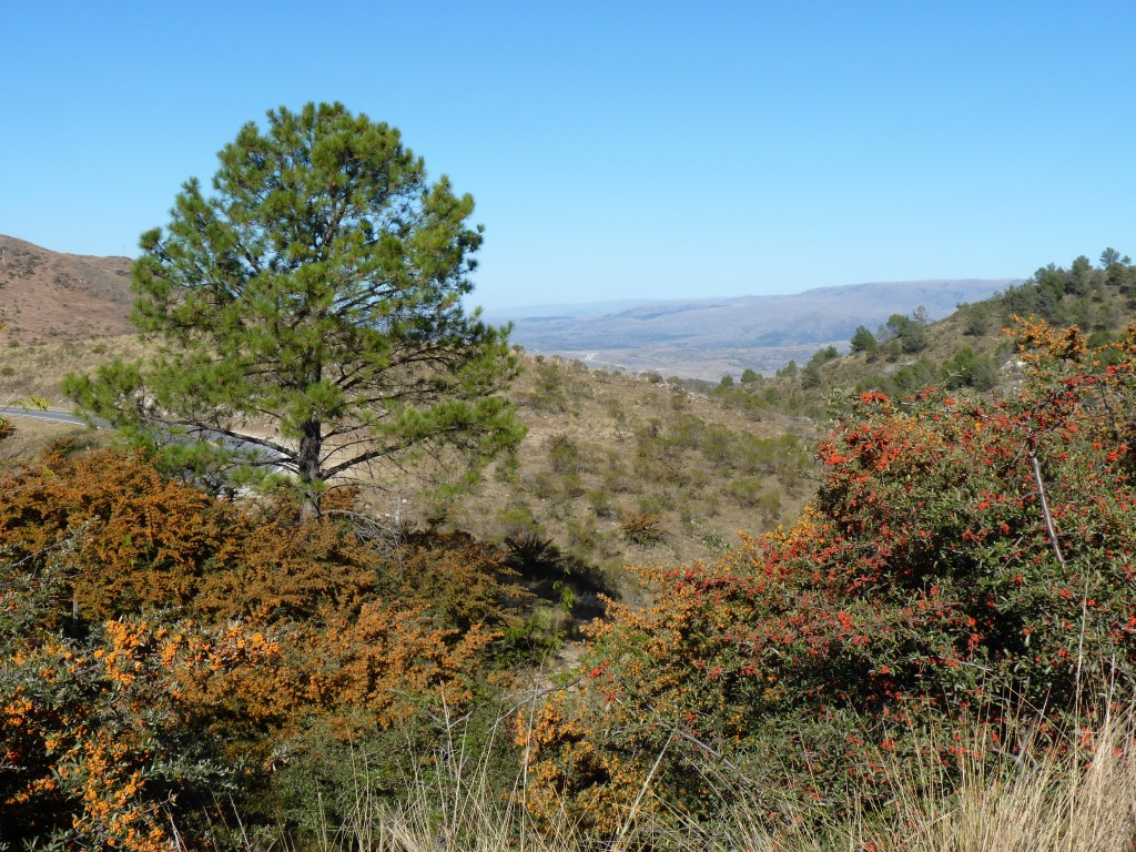 Foto: Observatorio Astronómico - Camino de Altas Cumbres (Córdoba), Argentina