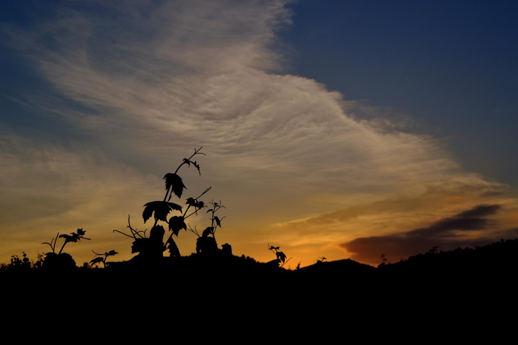 Foto: Puesta de sol. - Torrelles de Foix (Barcelona), España
