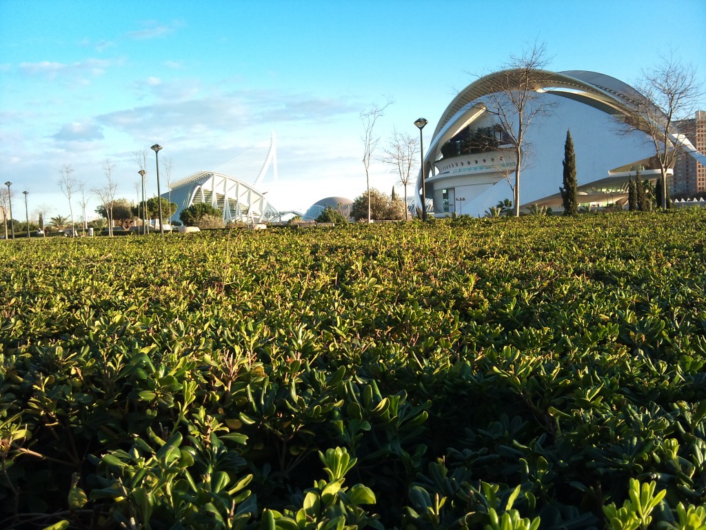 Foto: Museo de las Artes y las Ciencias - Valencia (València), España
