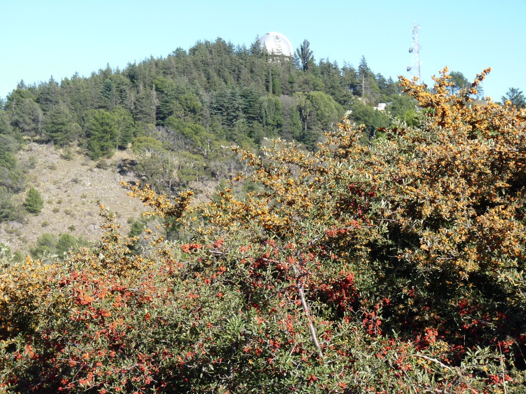 Foto: Observatorio Astronómico - Bosque Alegre (Córdoba), Argentina