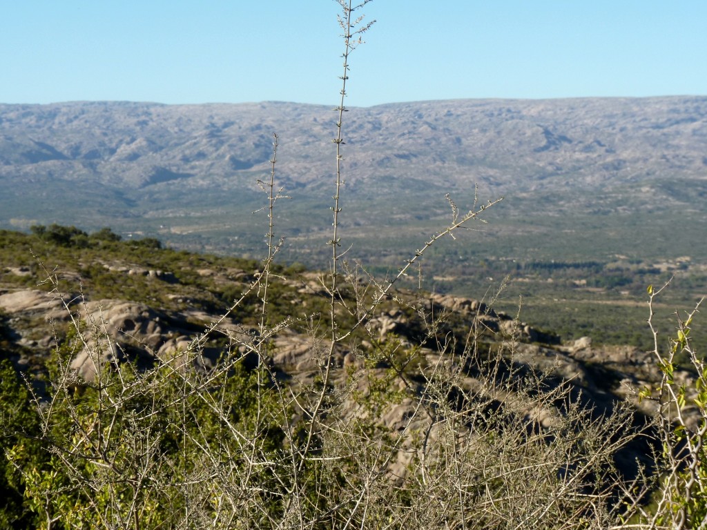 Foto: Cura Brochero - Cura Brochero (Córdoba), Argentina