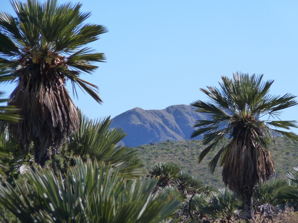 Foto: Las Palmas. - Los Túneles (Córdoba), Argentina