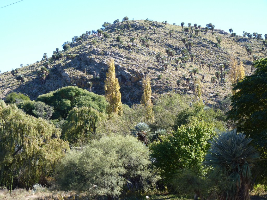 Foto: Las Palmas. - Los Túneles (Córdoba), Argentina