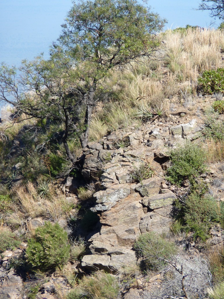 Foto: Los Túneles - Taninga (Córdoba), Argentina