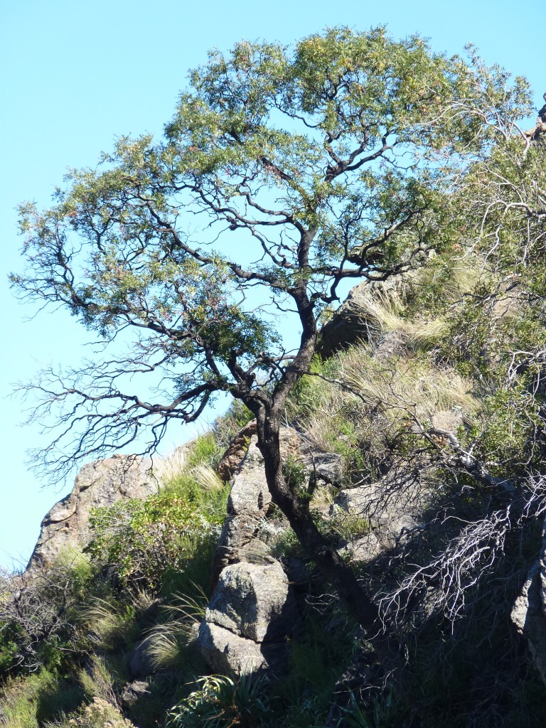 Foto: Los Túneles - Taninga (Córdoba), Argentina