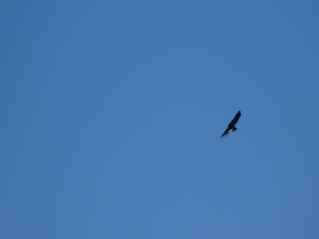 Foto: Los Túneles - Taninga (Córdoba), Argentina