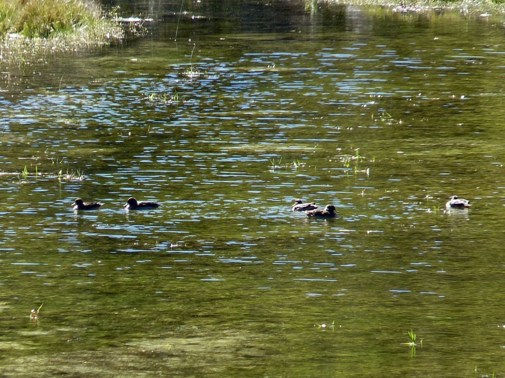 Foto de Taninga (Córdoba), Argentina