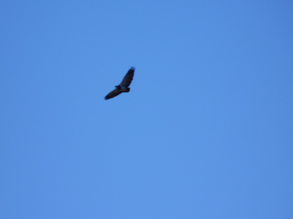 Foto: Los Túneles - Taninga (Córdoba), Argentina