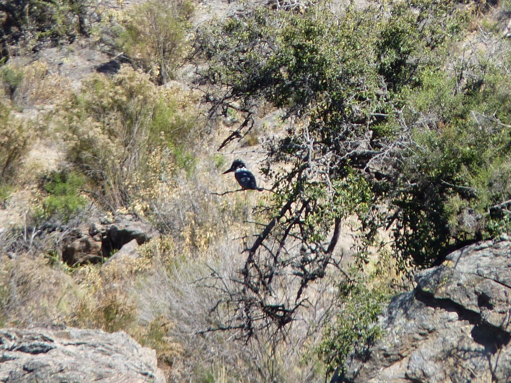 Foto: Los Túneles - Taninga (Córdoba), Argentina