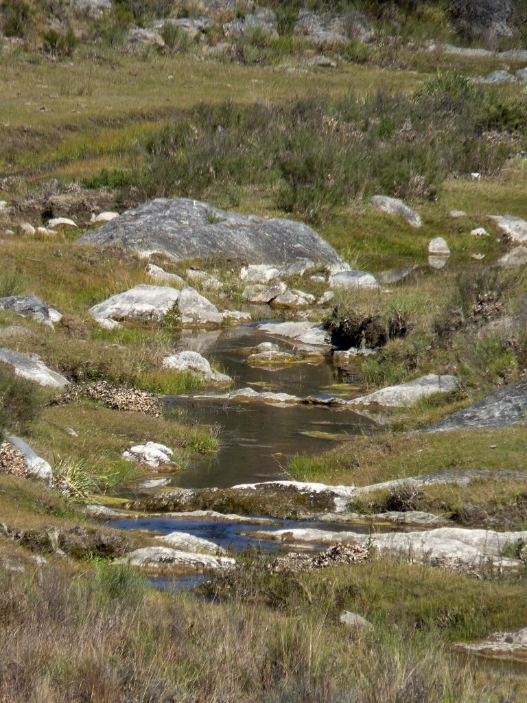 Foto: Los Túneles - Taninga (Córdoba), Argentina