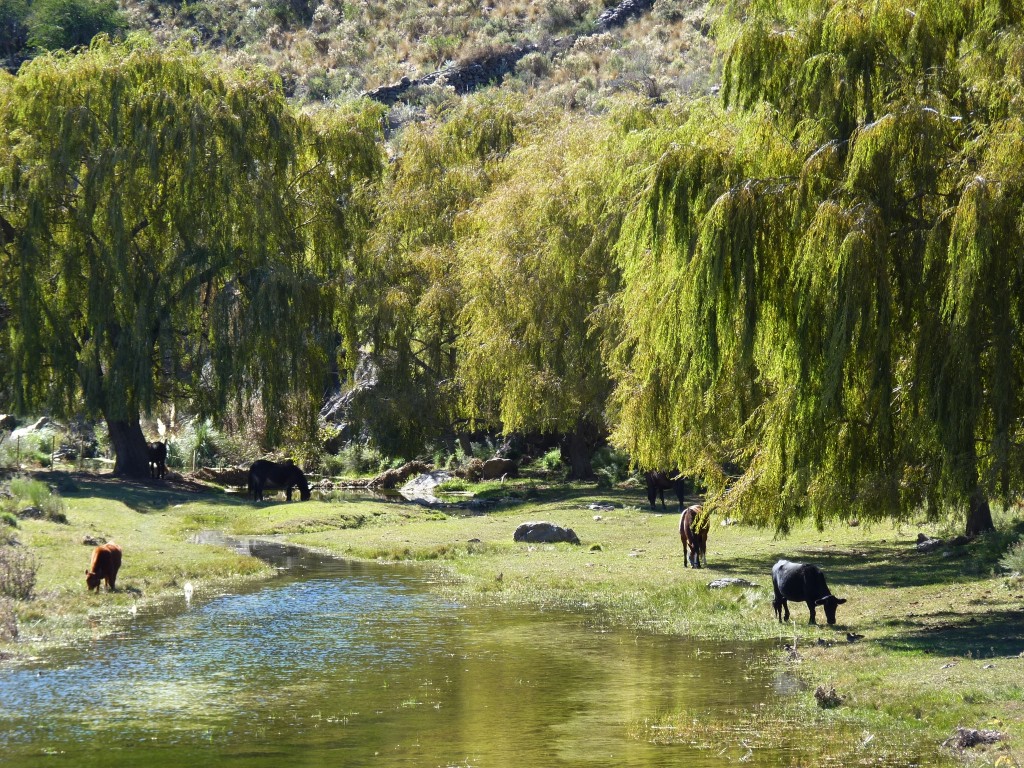 Foto: Los Túneles - Taninga (Córdoba), Argentina