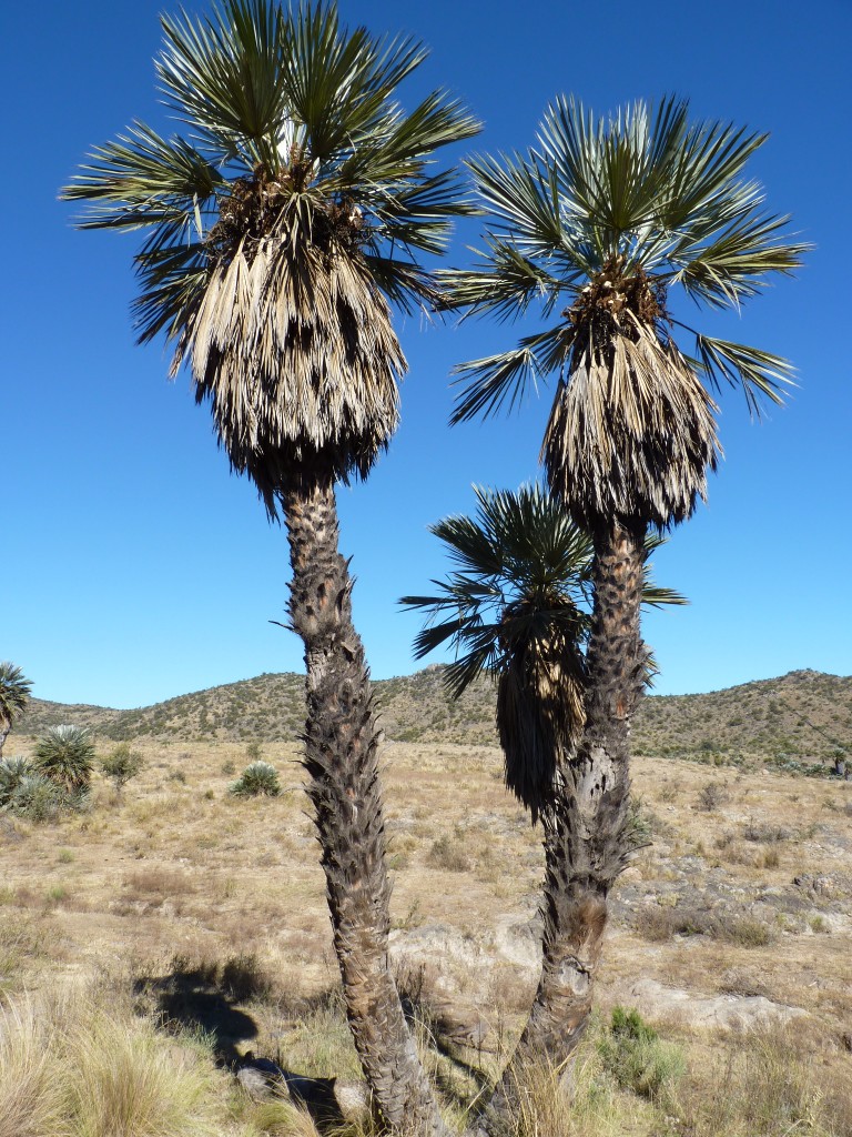 Foto: Los Túneles - Taninga (Córdoba), Argentina
