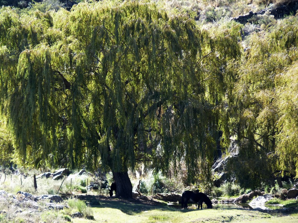 Foto: Los Túneles - Taninga (Córdoba), Argentina