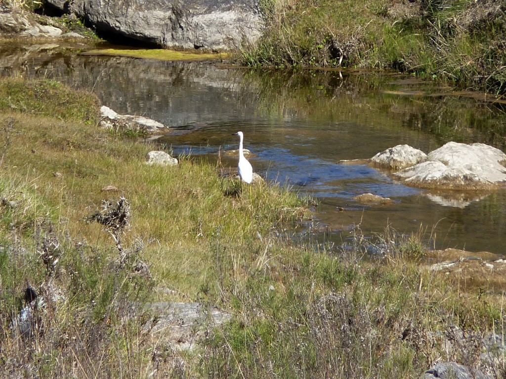 Foto: Los Túneles - Taninga (Córdoba), Argentina