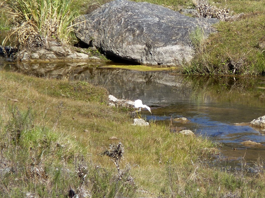 Foto: Los Túneles - Taninga (Córdoba), Argentina