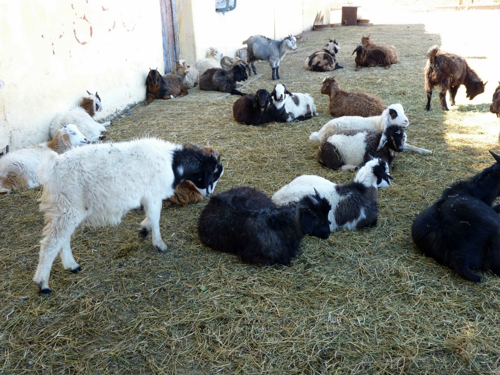 Foto: Los Túneles - Taninga (Córdoba), Argentina