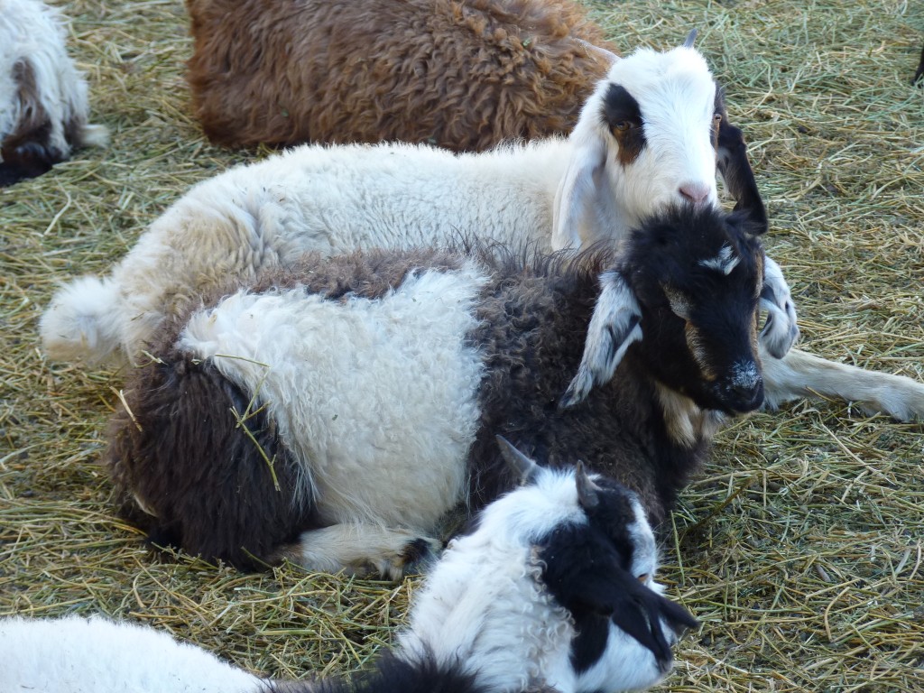 Foto: Los Túneles - Taninga (Córdoba), Argentina