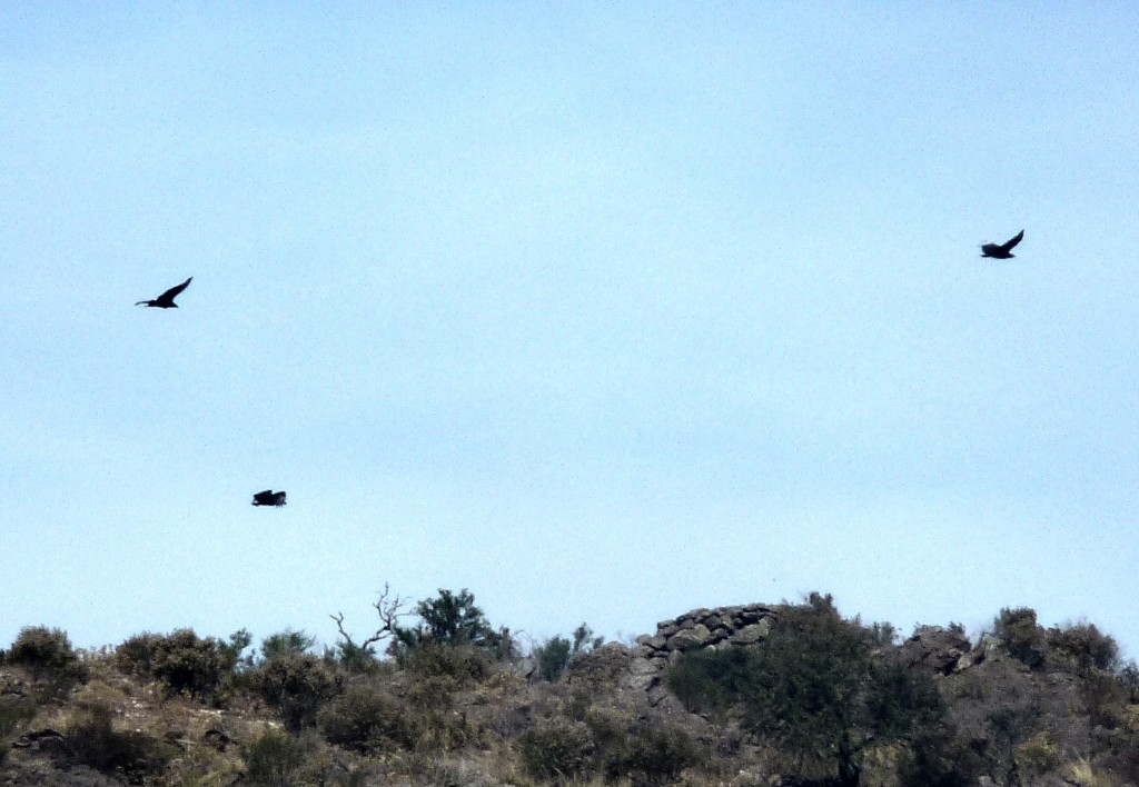 Foto: Los Túneles - Taninga (Córdoba), Argentina