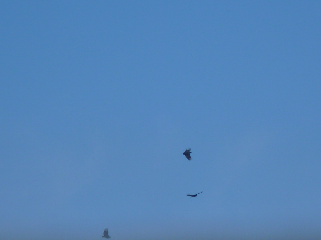 Foto: Los Túneles - Taninga (Córdoba), Argentina