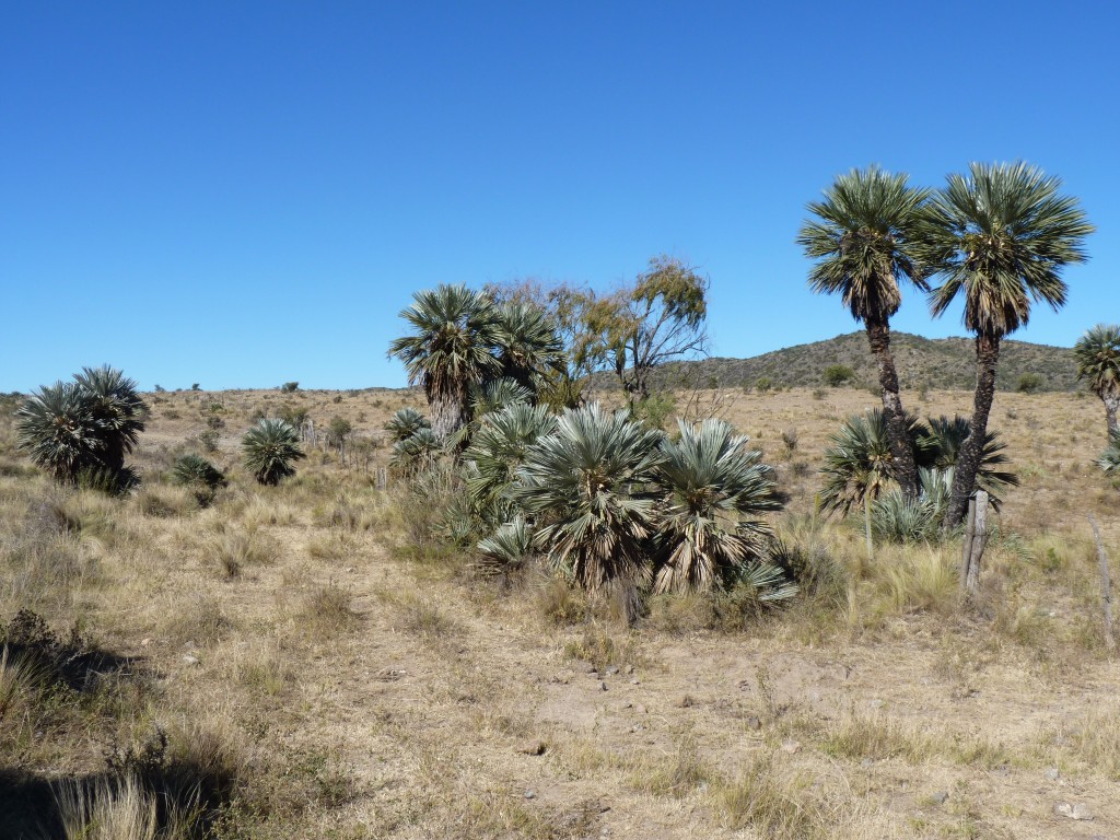 Foto: Los Túneles - Taninga (Córdoba), Argentina