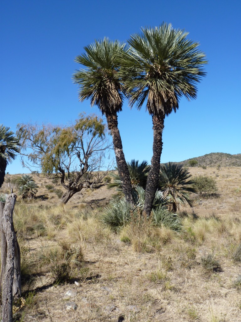 Foto: Los Túneles - Taninga (Córdoba), Argentina