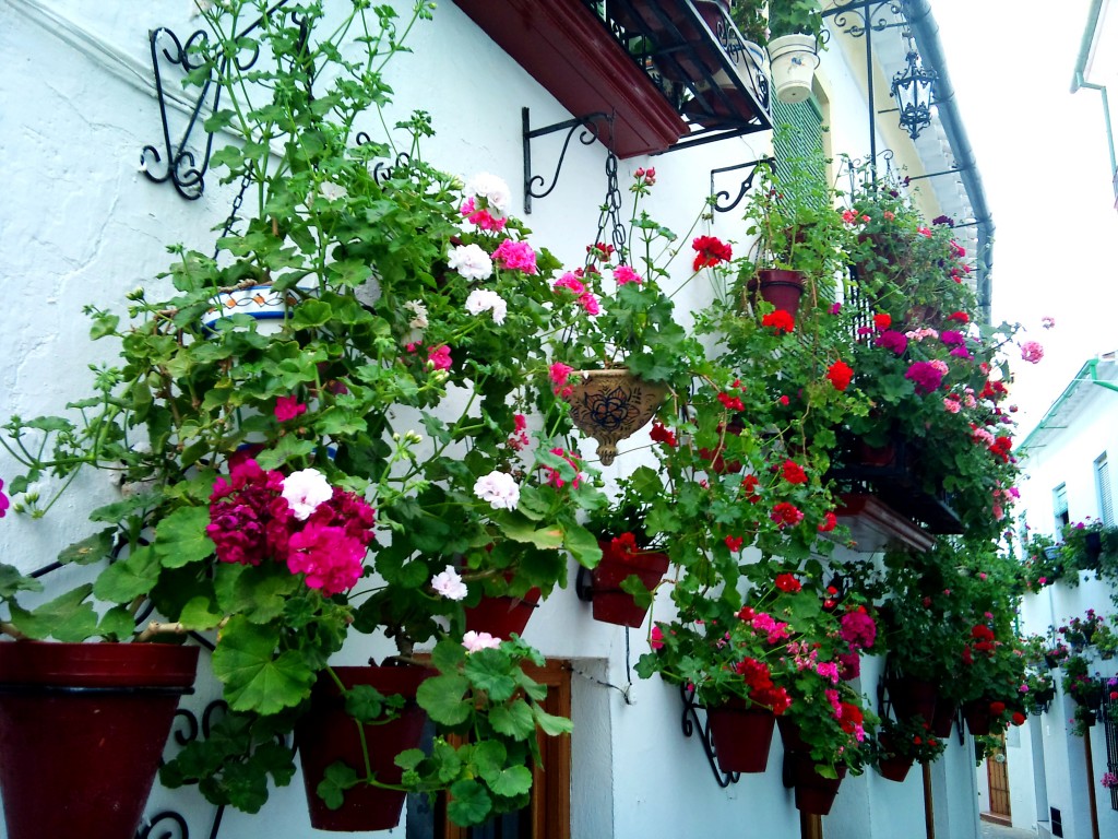 Foto de Priego de Córdoba (Córdoba), España