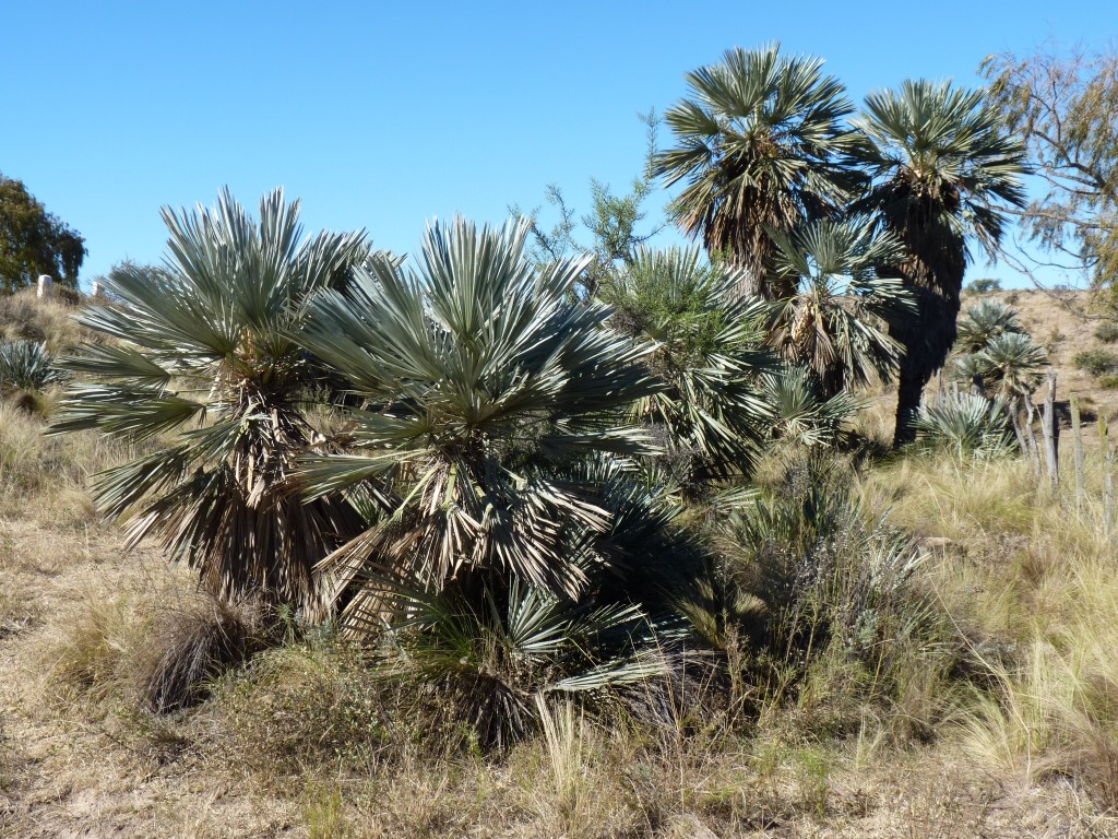 Foto: Los Túneles - Taninga (Córdoba), Argentina