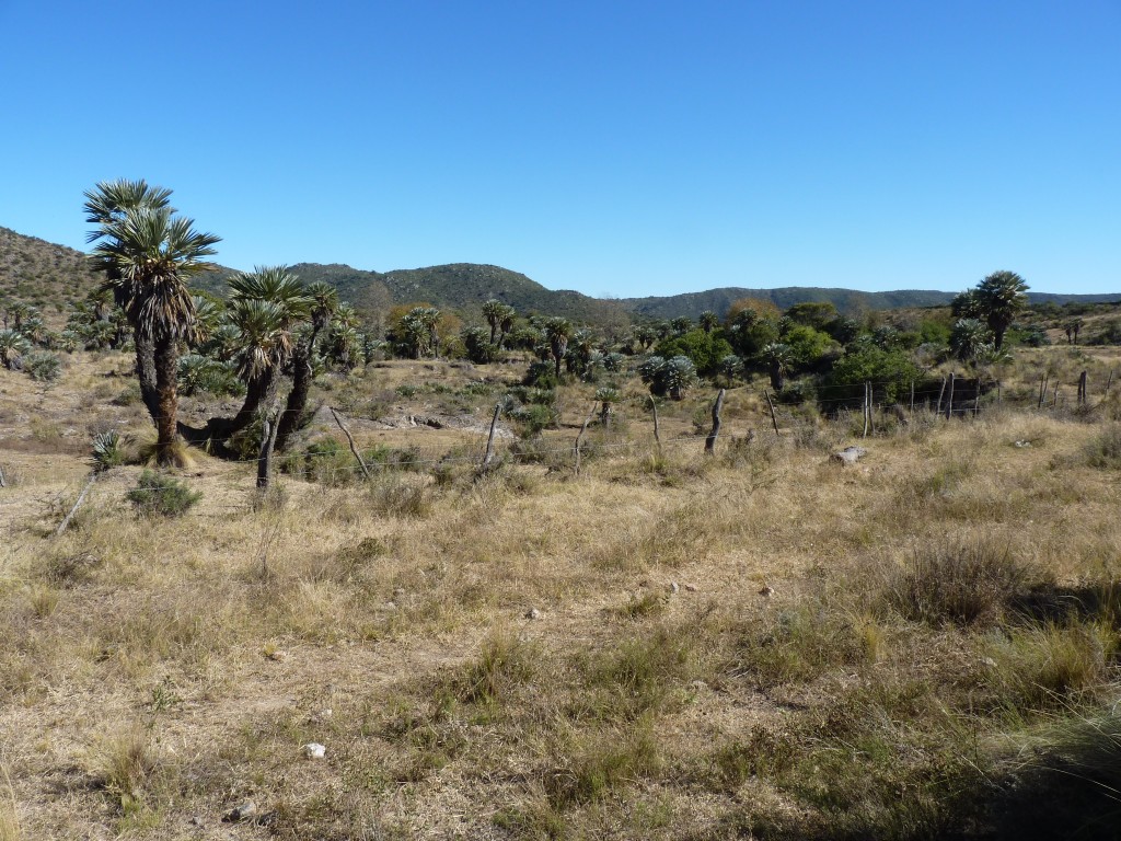 Foto: Los Túneles - Taninga (Córdoba), Argentina