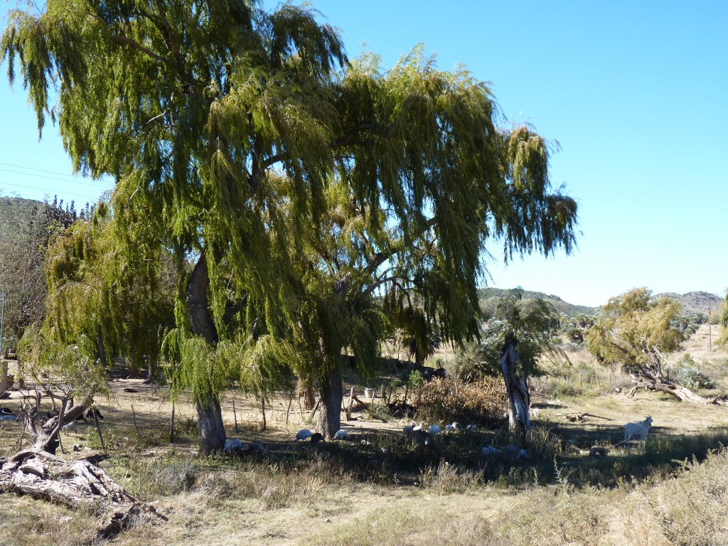 Foto: Los Túneles - Taninga (Córdoba), Argentina
