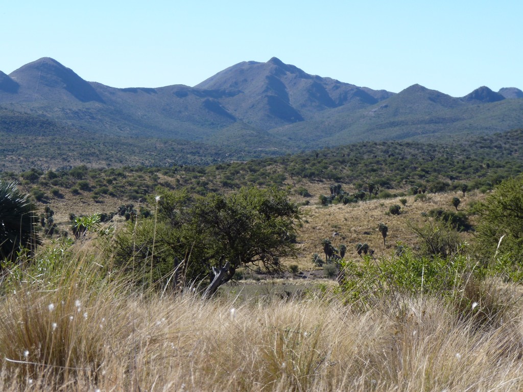 Foto: Camino a Los Túneles - Taninga (Córdoba), Argentina