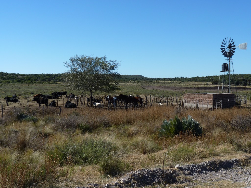 Foto: Camino a Los Túneles - Taninga (Córdoba), Argentina