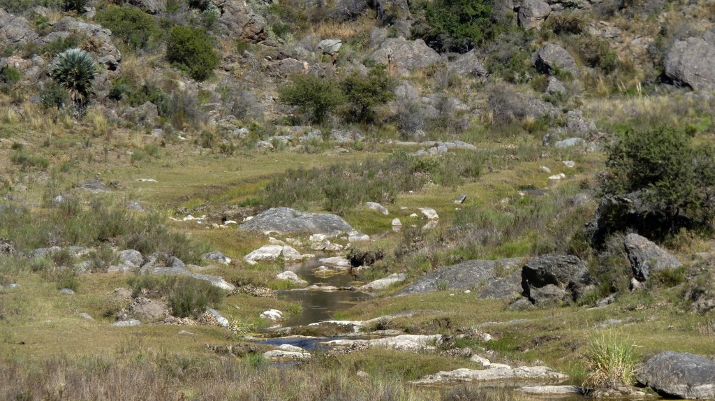 Foto: Camino a Los Túneles - Taninga (Córdoba), Argentina