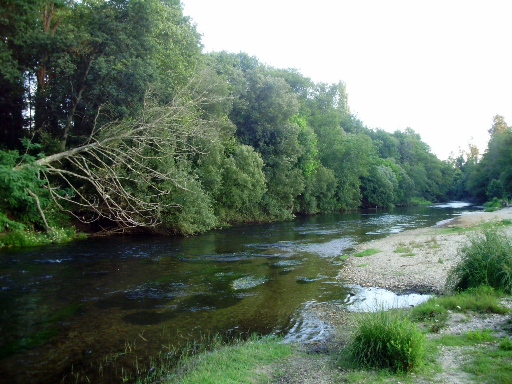 Foto: RIO TEA - Ponteareas (Pontevedra), España