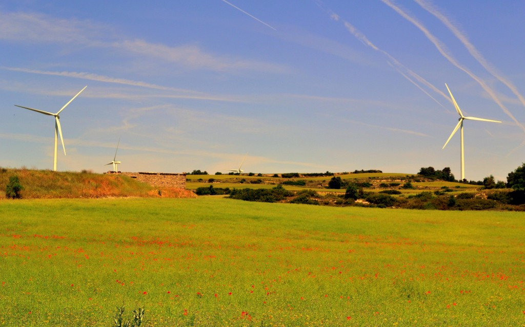 Foto: Campos y energia eólica. - Rauric (Llorac) (Tarragona), España