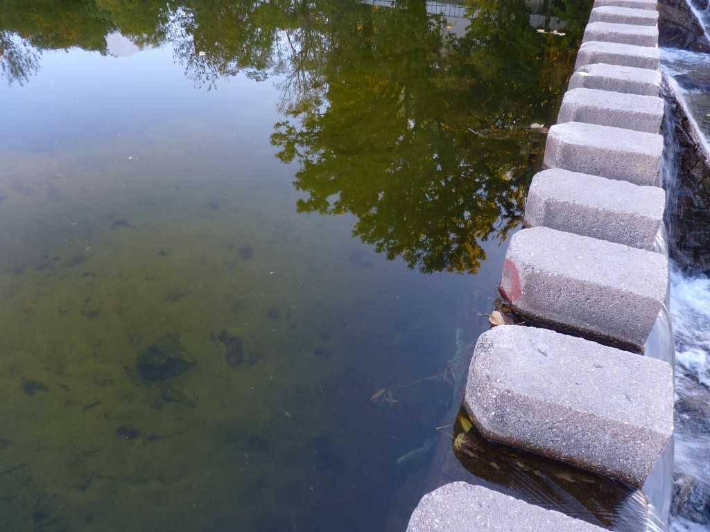 Foto: Balneario - Mina Clavero (Córdoba), Argentina