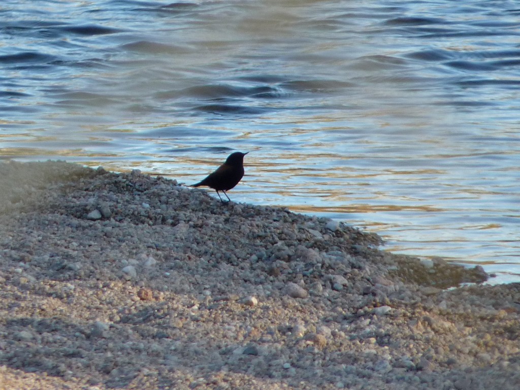 Foto: Río Panaholma - Panaholma (Córdoba), Argentina