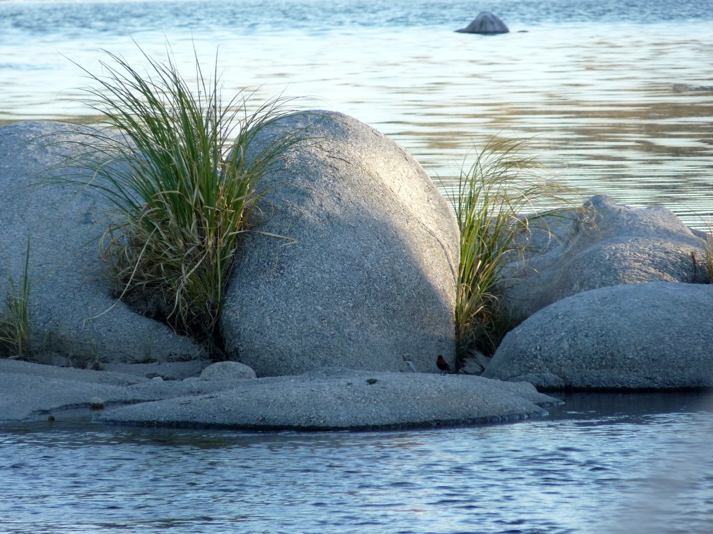 Foto: Río Panaholma - Panaholma (Córdoba), Argentina