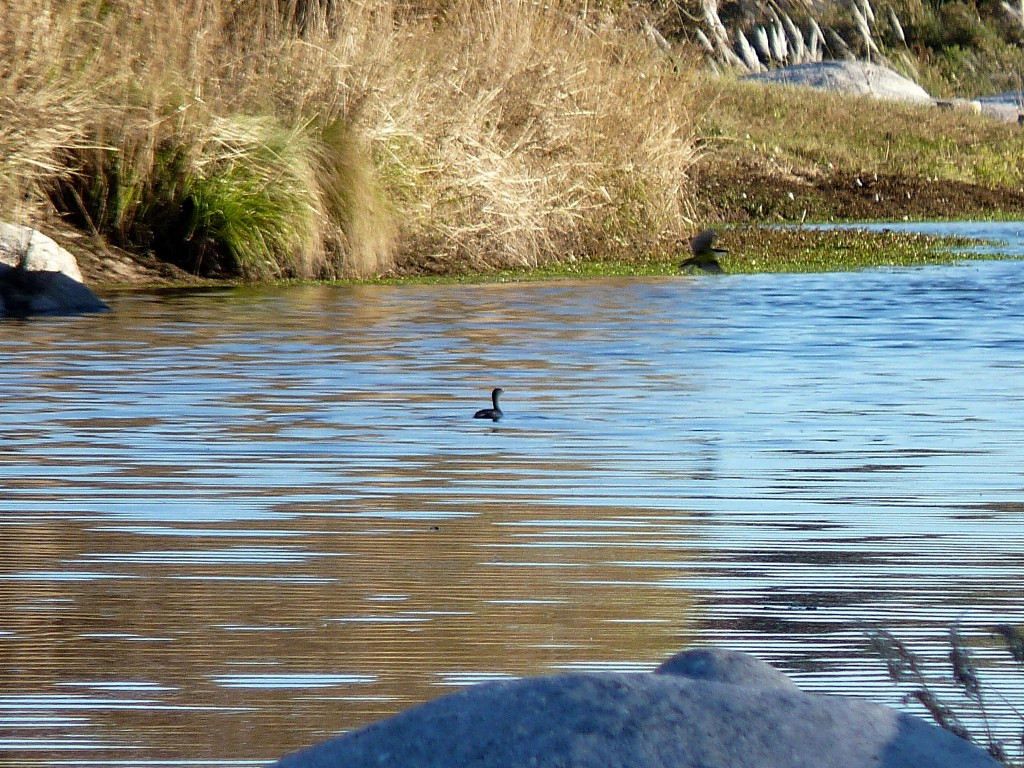 Foto: Río Panaholma - Panaholma (Córdoba), Argentina