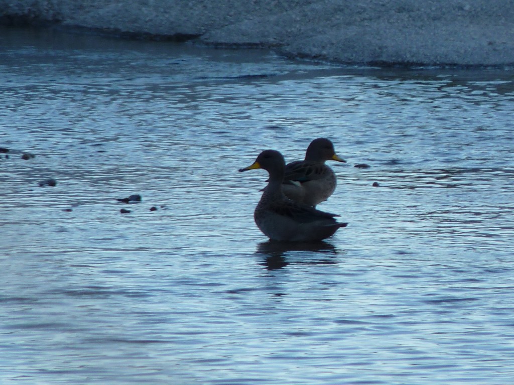 Foto: Río Panaholma - Panaholma (Córdoba), Argentina